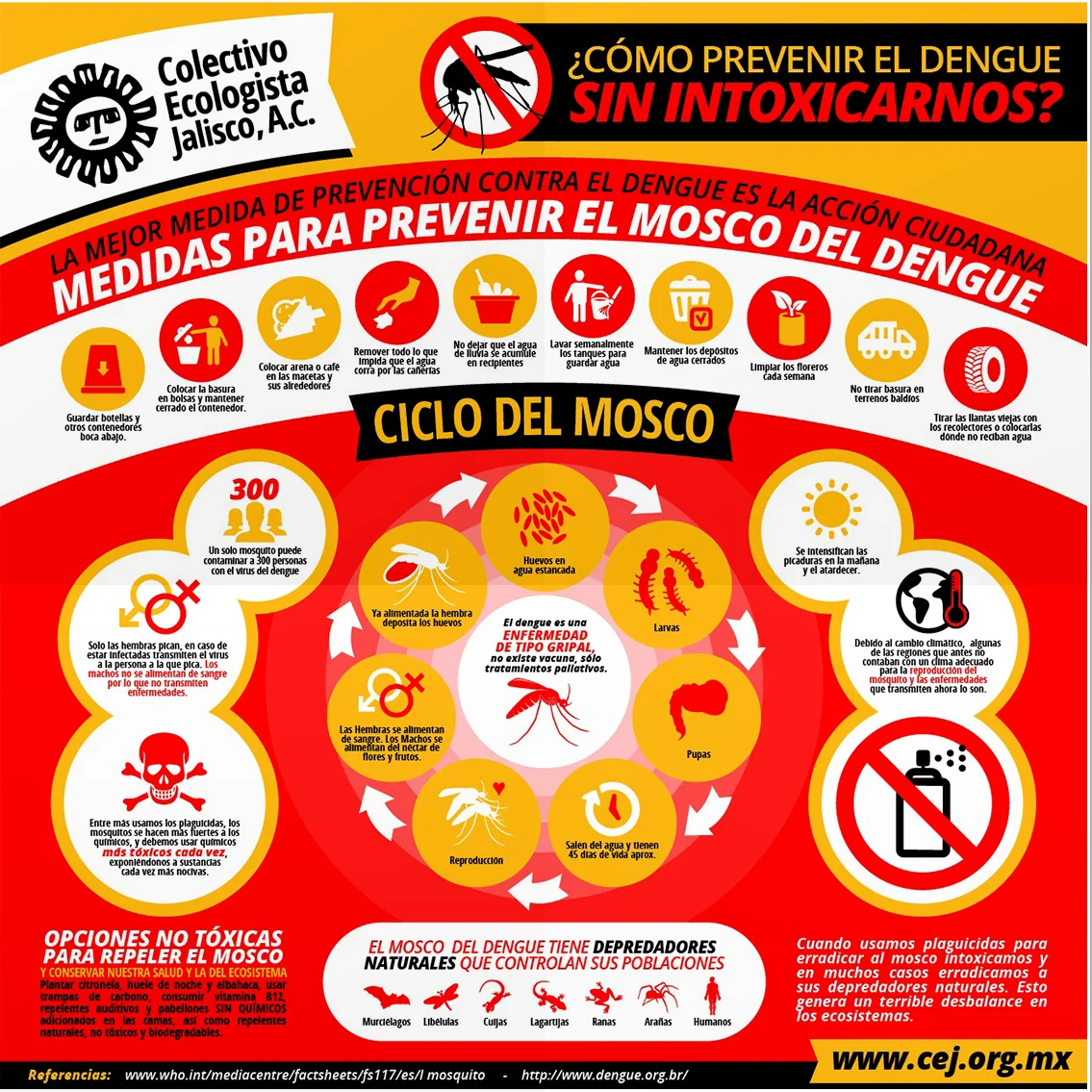Dengue_mockup 2.jpg