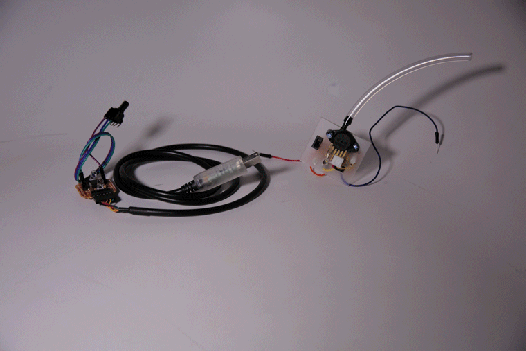 animatedBoards.gif