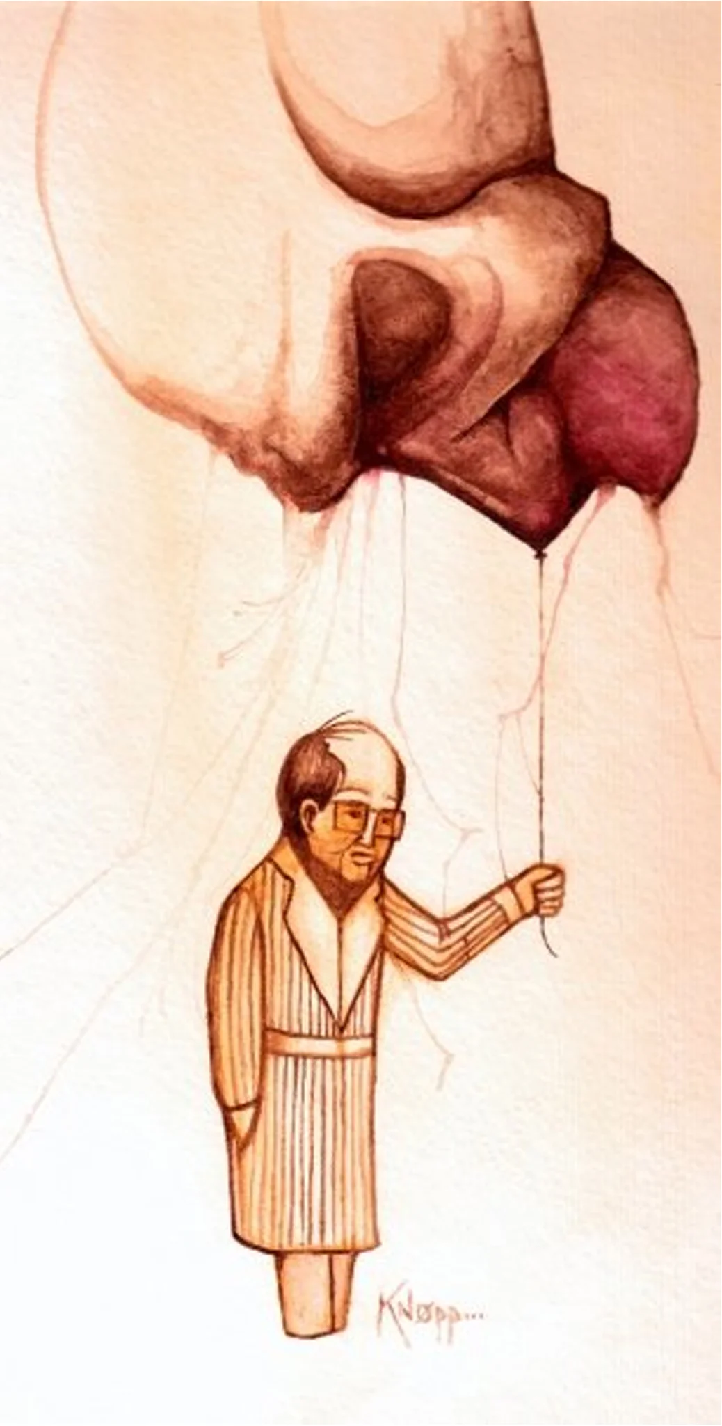 Kelly Knopp