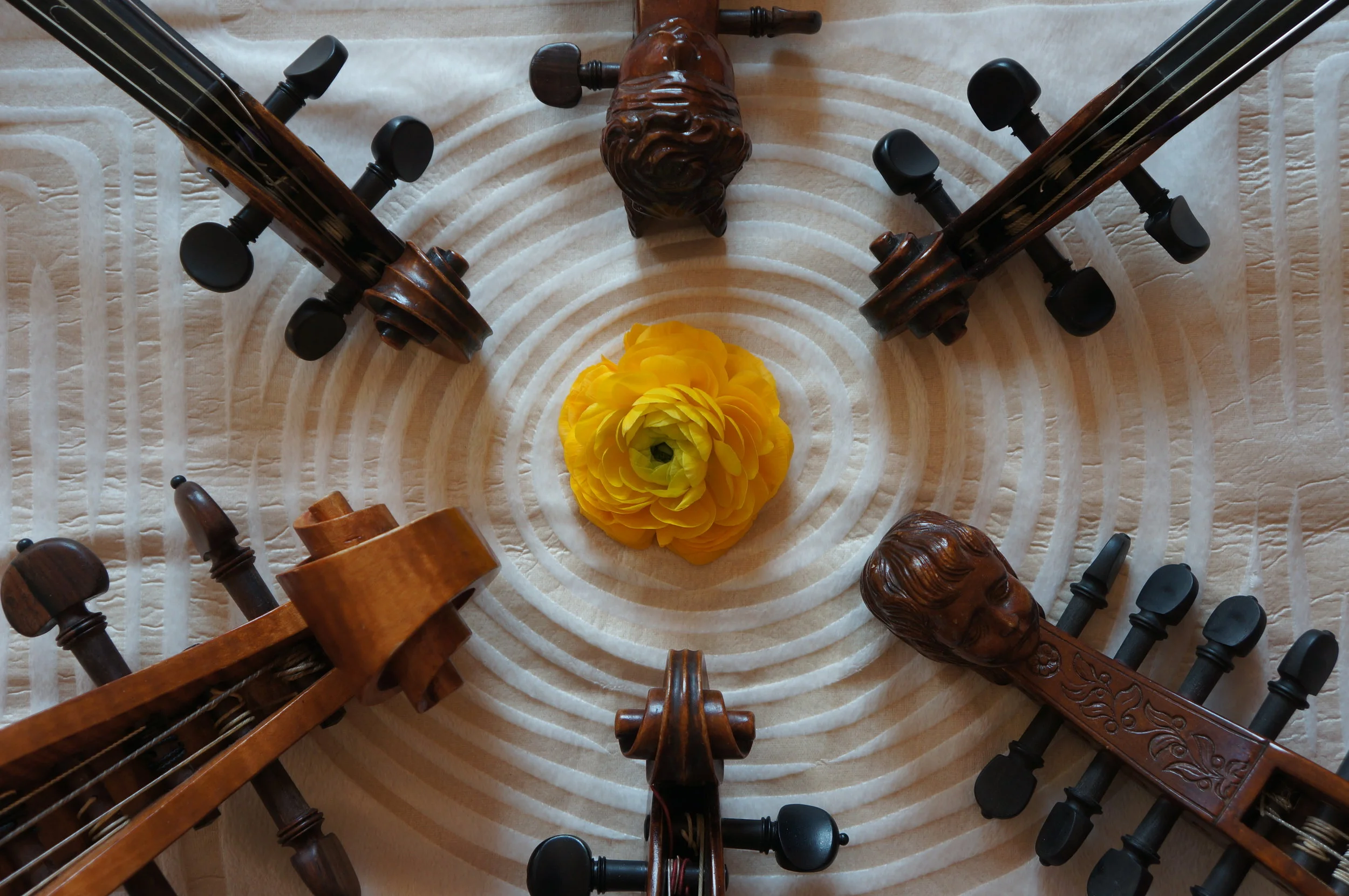 Barockmusik zu Pfingsten (Musica Florata Erfurt)