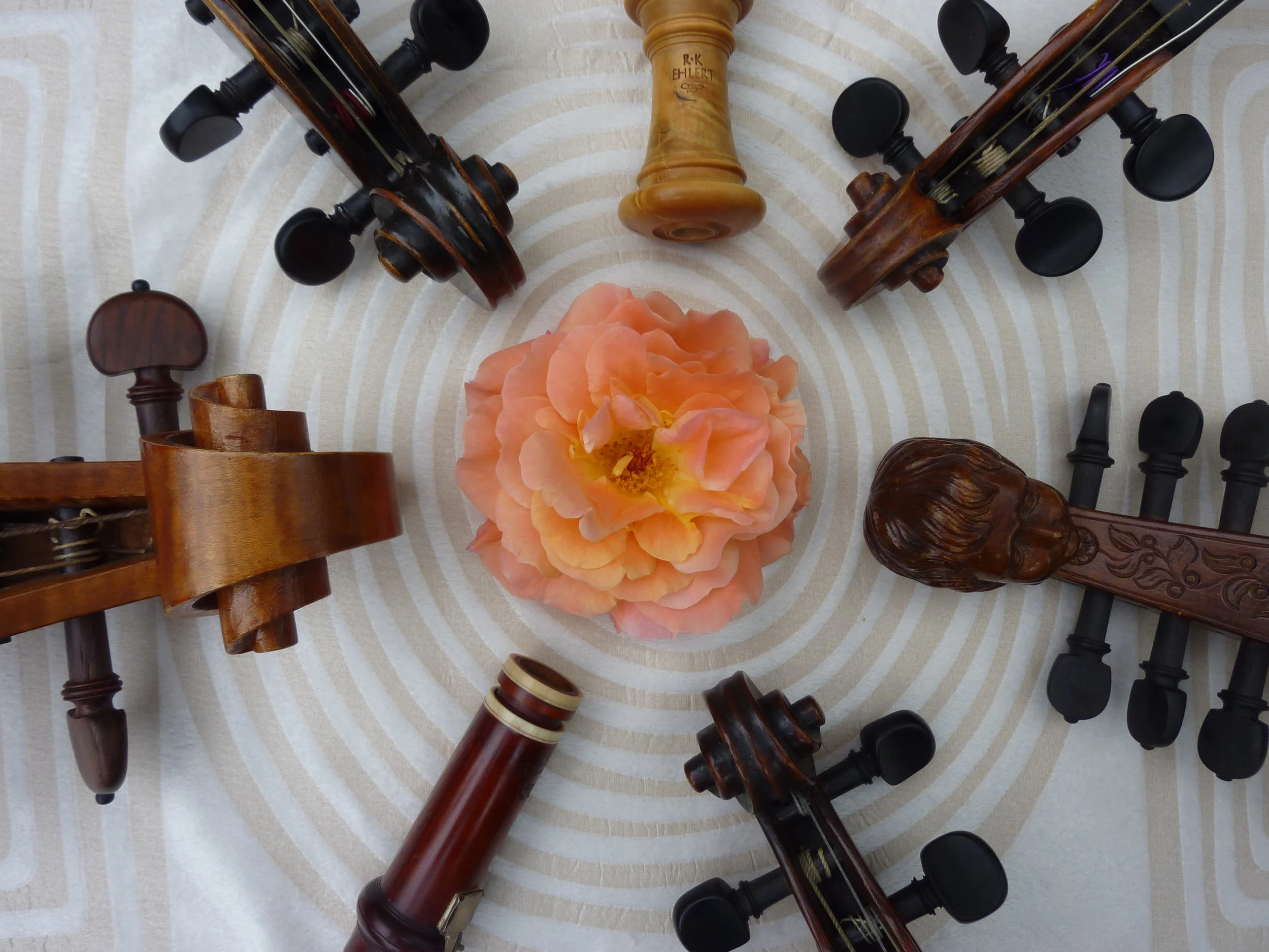 Pfingstkonzert (Musica Florata Erfurt) 