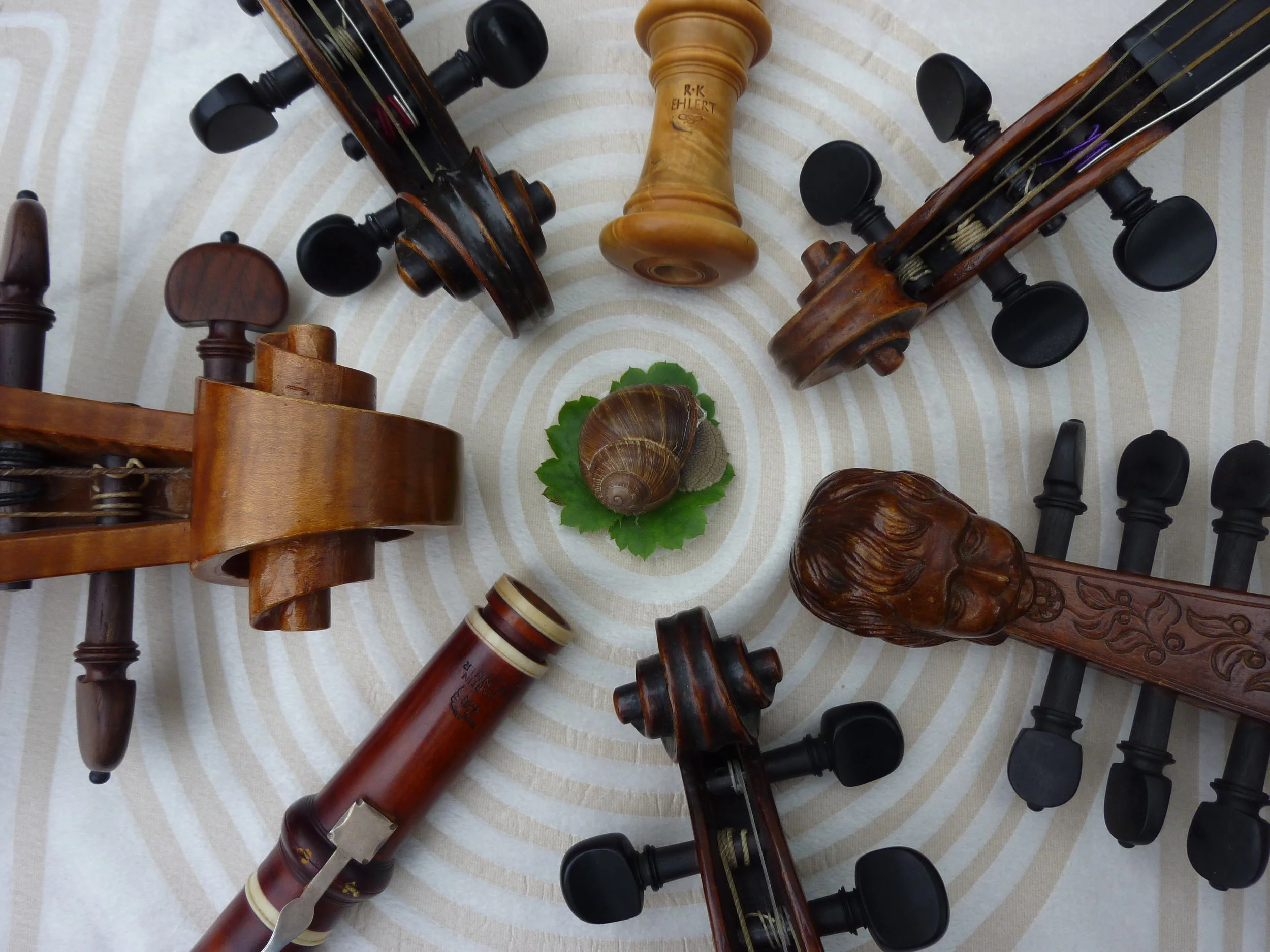 Familienkonzert (Musica Florata Erfurt) 