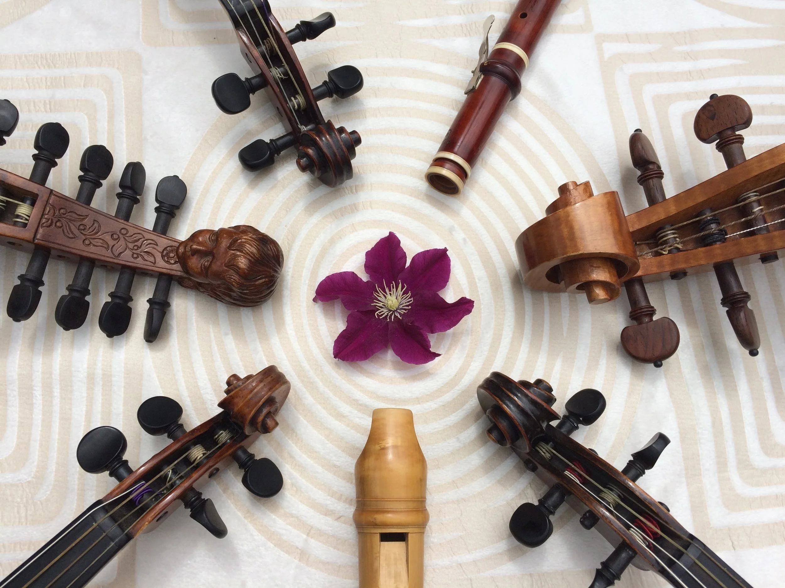 Viva Vivaldi (Musica Florata Erfurt)