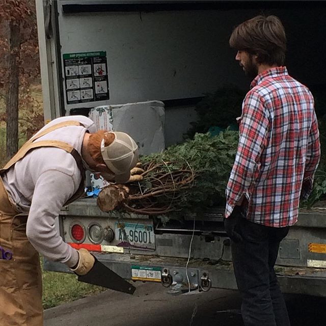 Raise the Tree founder James Trimble giving the Fraser Fir a fresh cut upon delivery #fraserfir #christmastree #christmas