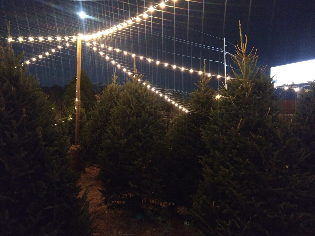 urban farm.jpg