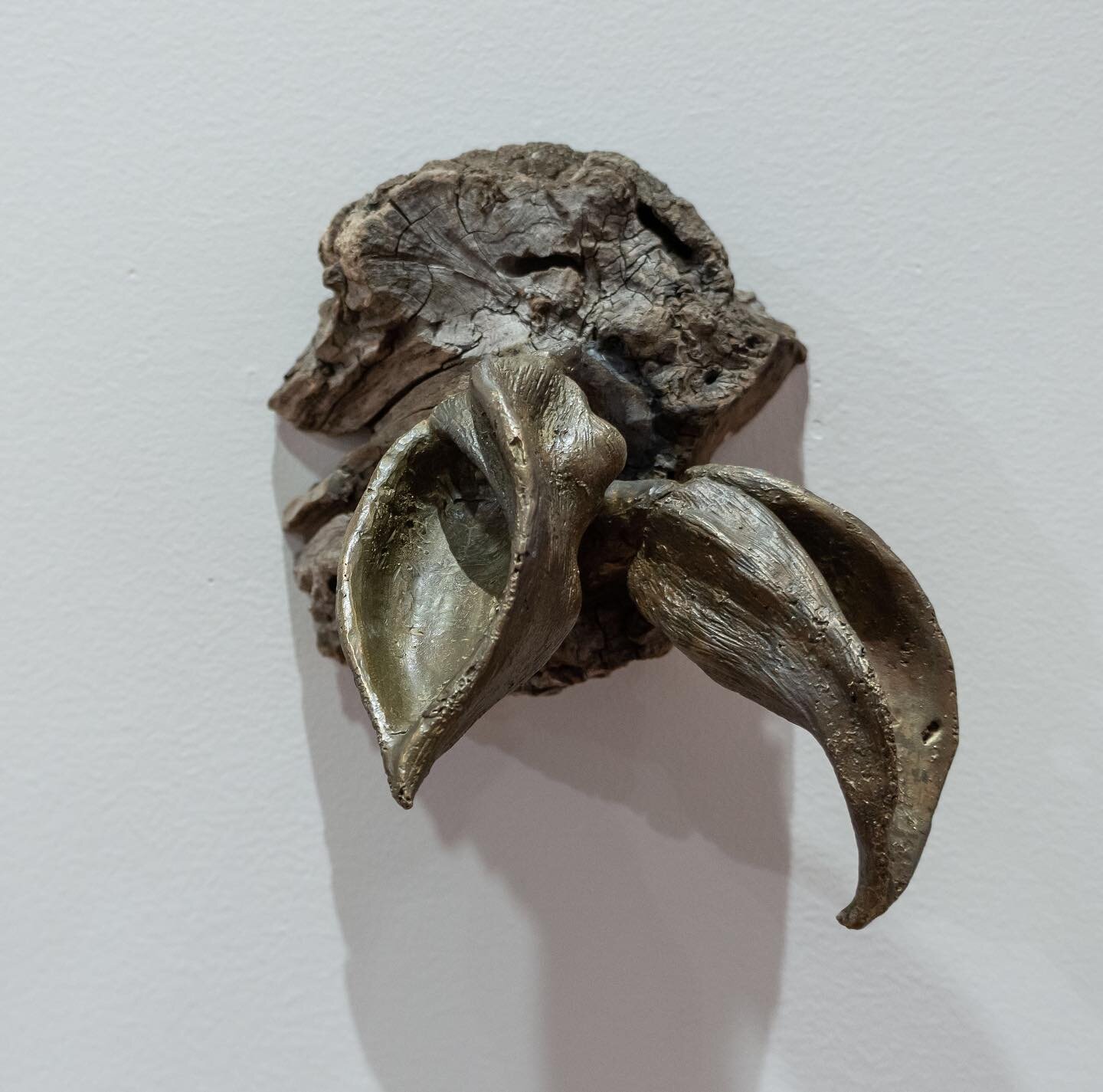 It&rsquo;s the final week of Wander at the Mildred I. Washington Gallery at DCC in Poughkeepsie, NY. @dccvisualarts Stop in to see the work of 6 amazing artists who feature the natural world in their work. This is &ldquo;Rooted Vessel (Vacancies),&rd