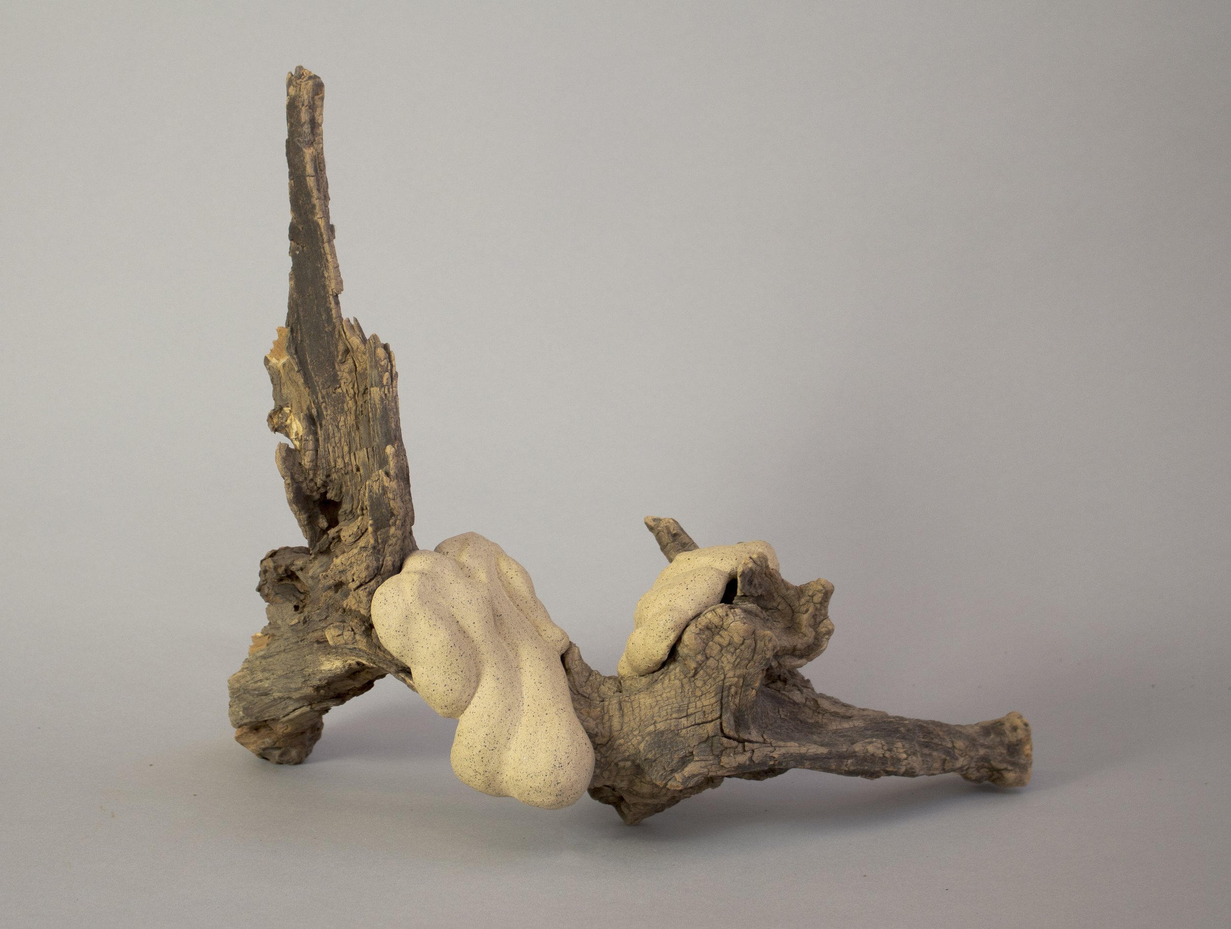 Rooted Vessel (Locust Grove)