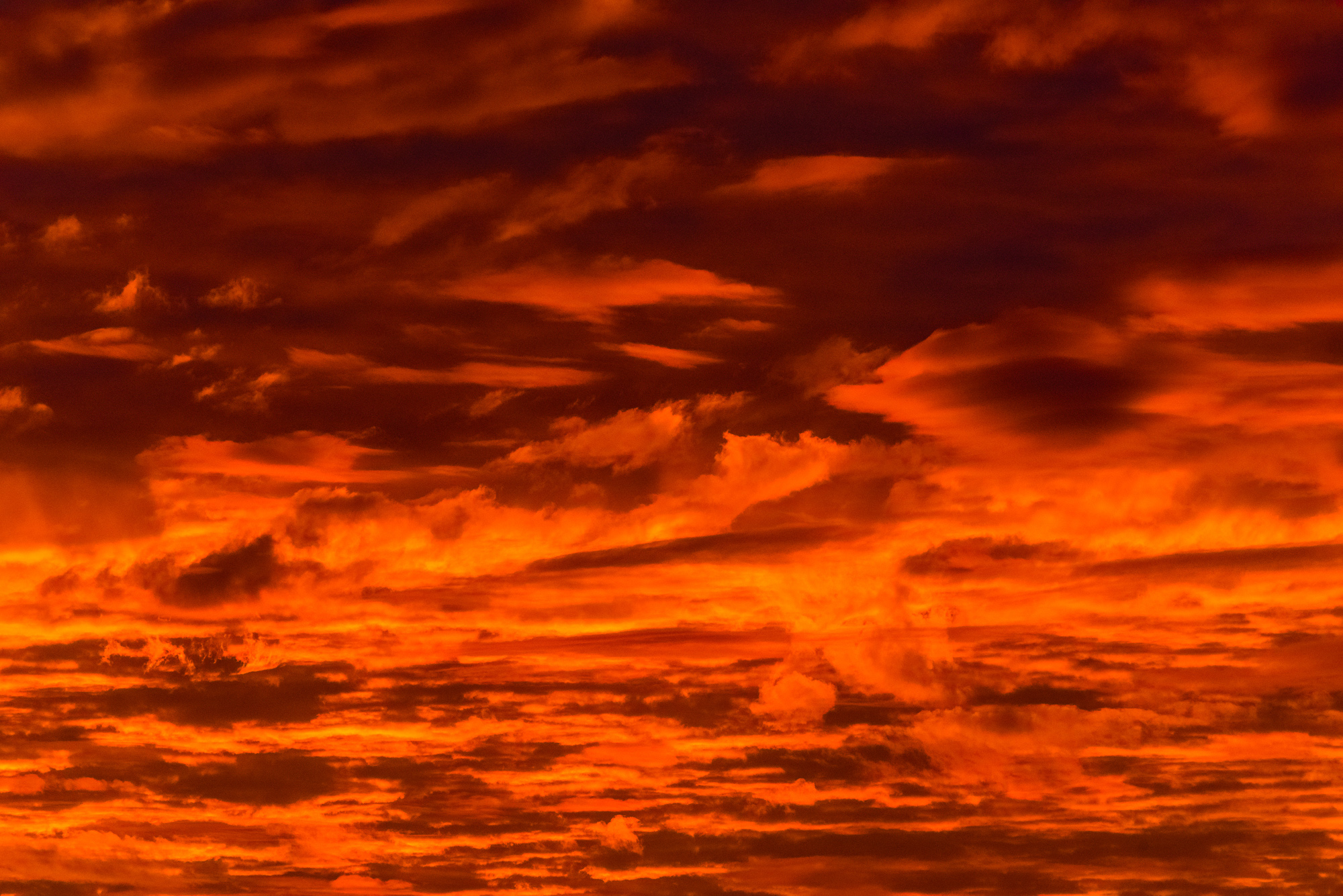 Umijujaq Skies