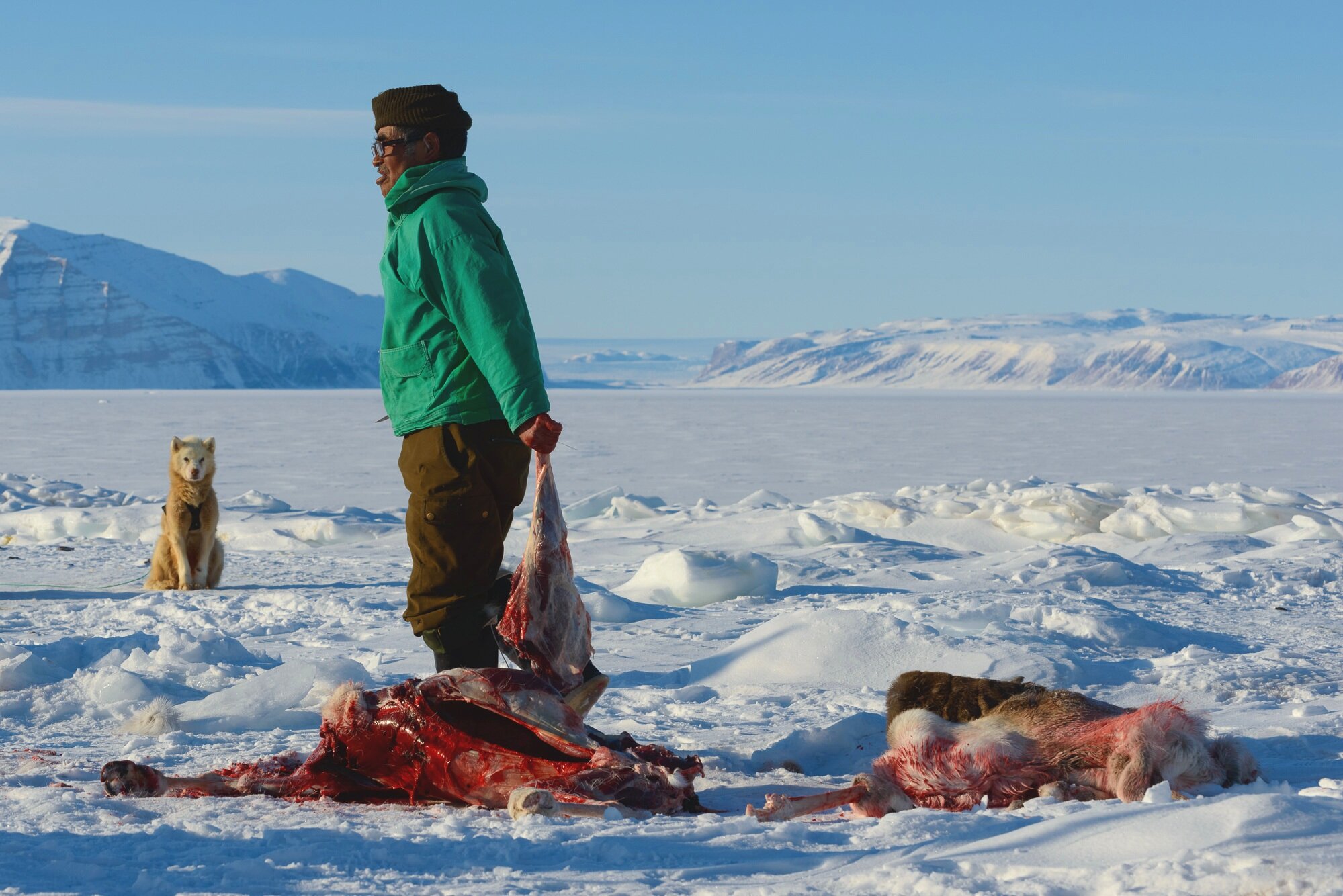Putlaq Butchering Caribou