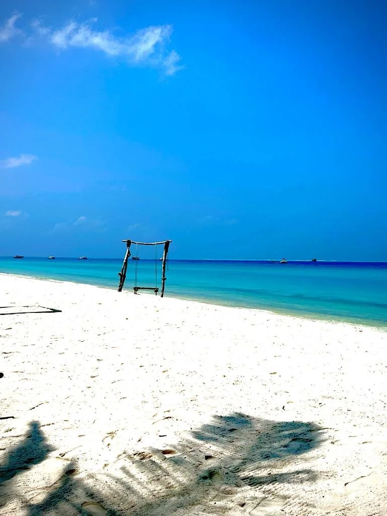 Everything you need to Know About Waxing. Just in time for bikini season.