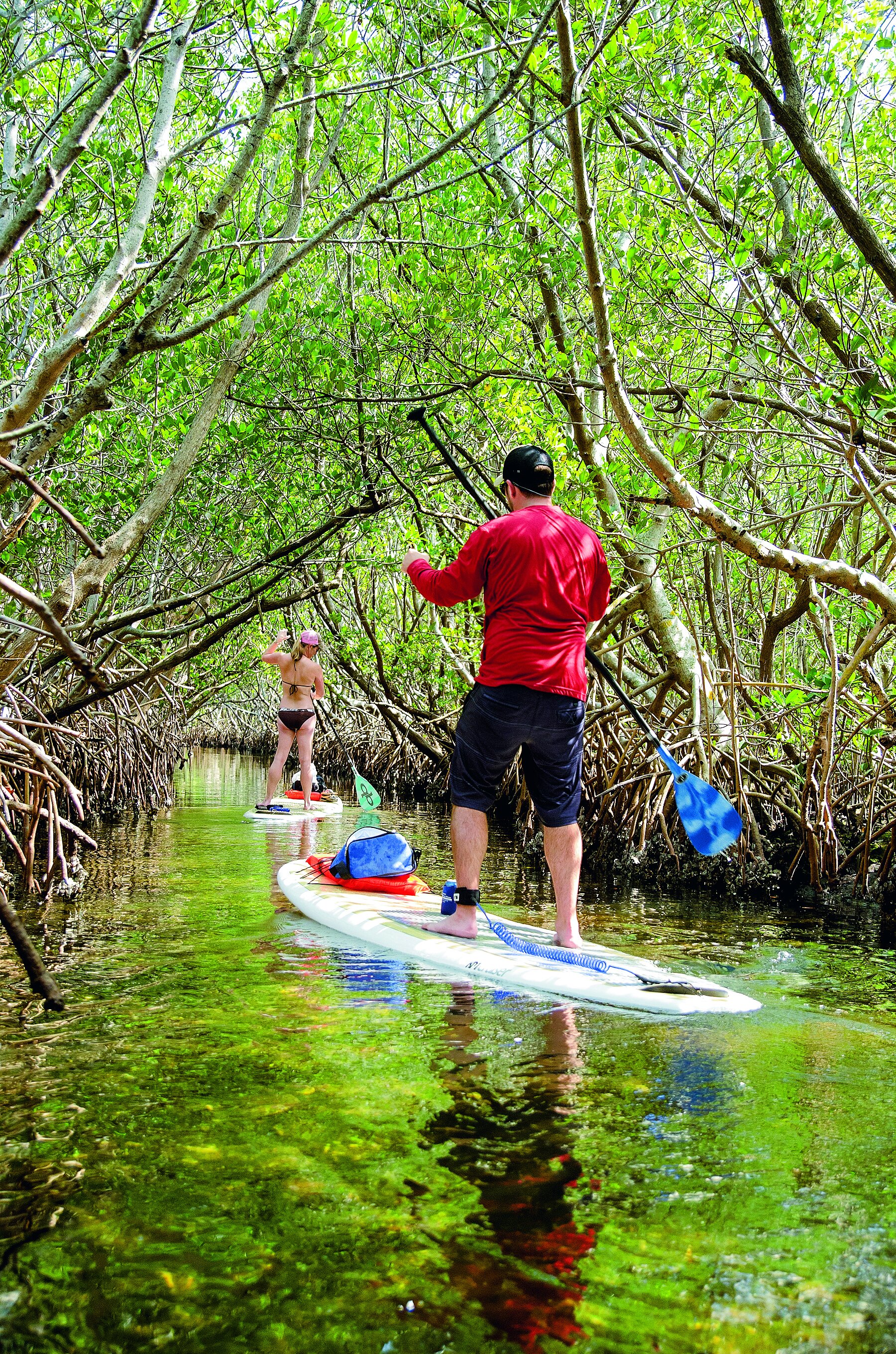 Stand Up Paddleboarding Through Mangroves at Weedon Island - St. Pete.jpg
