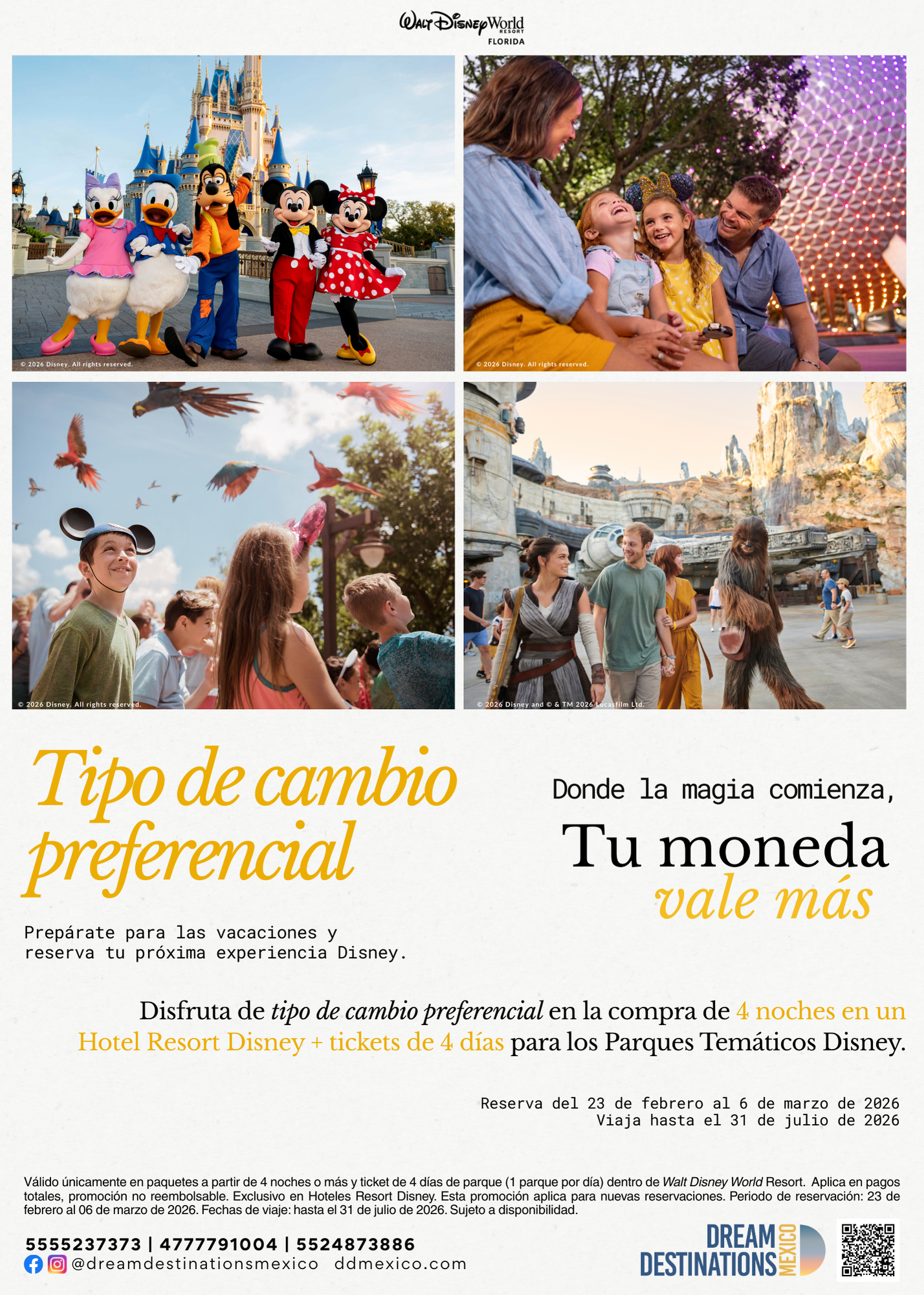 Tipo de cambio - WDW.png