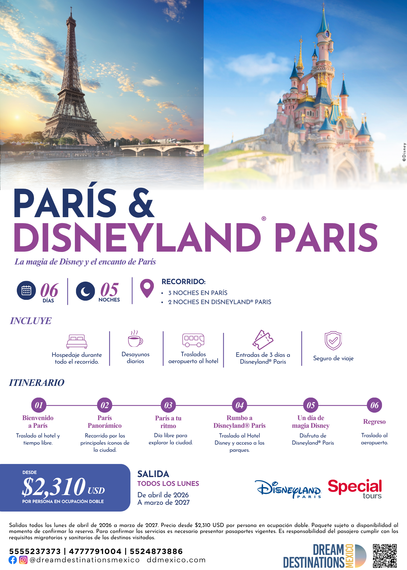 DLP Y PARIS - 2026.png