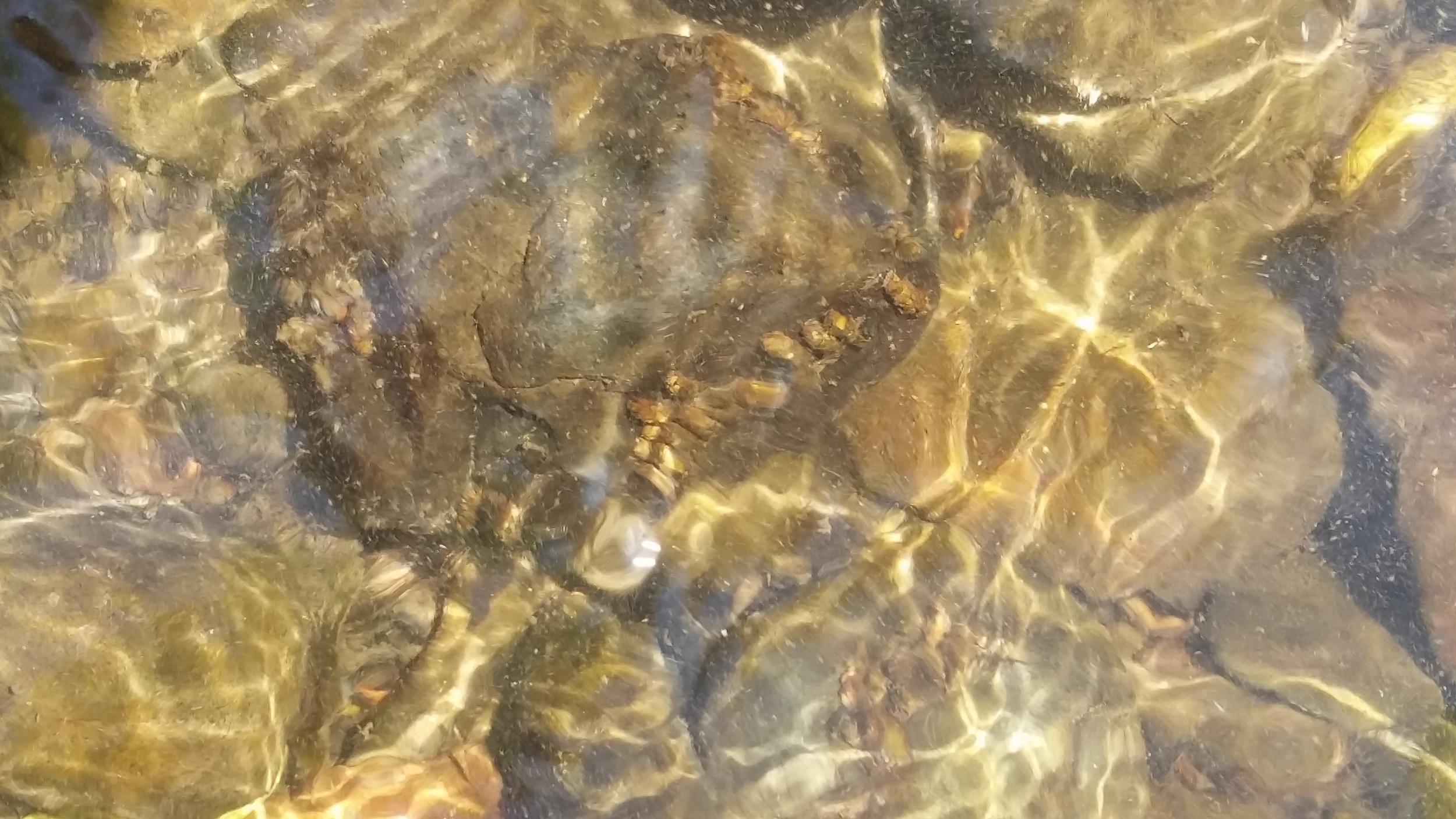 20150624_144505.jpg
