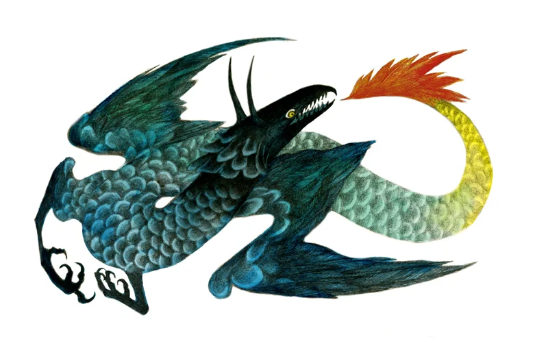 "Firetail" - graphite, watercolor