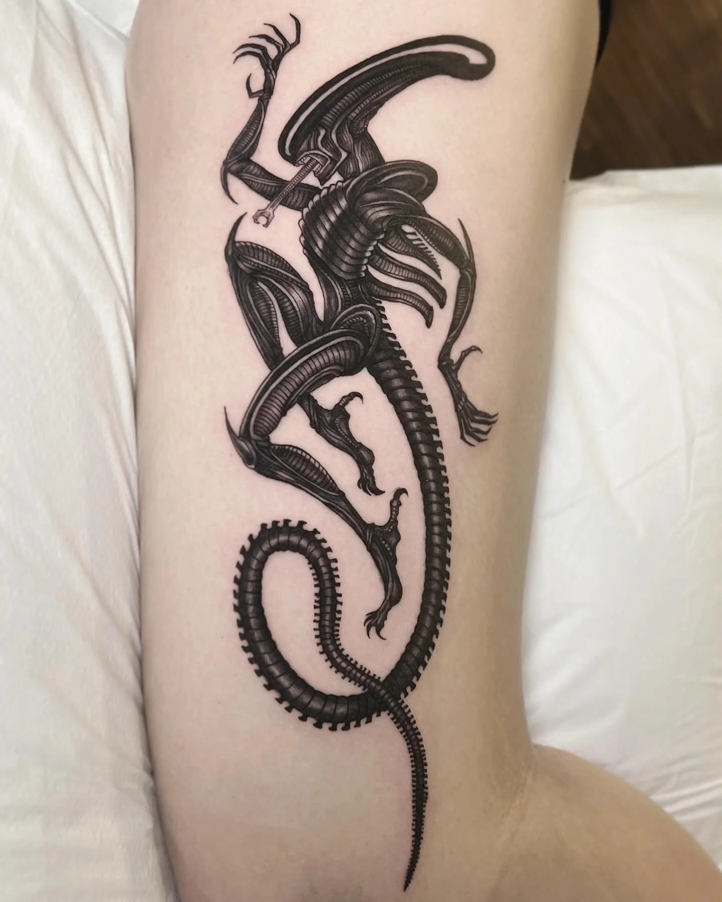 Xenomorph