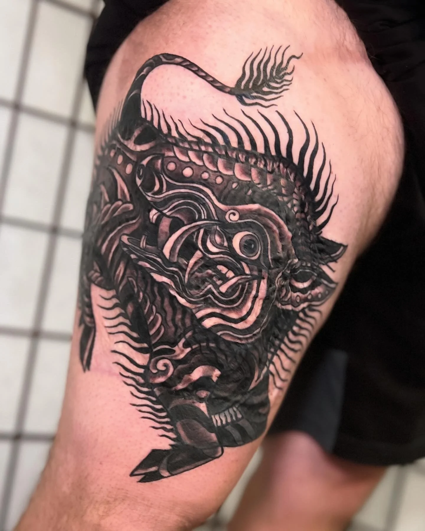 Boar coverup
