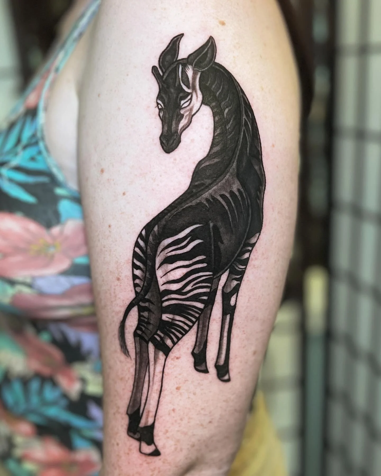 Okapi