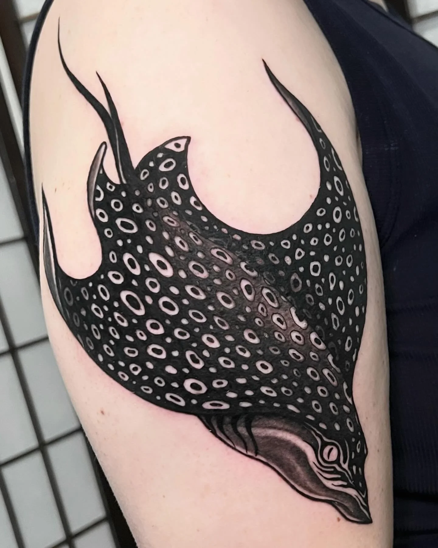 Spotted Eagle Ray
