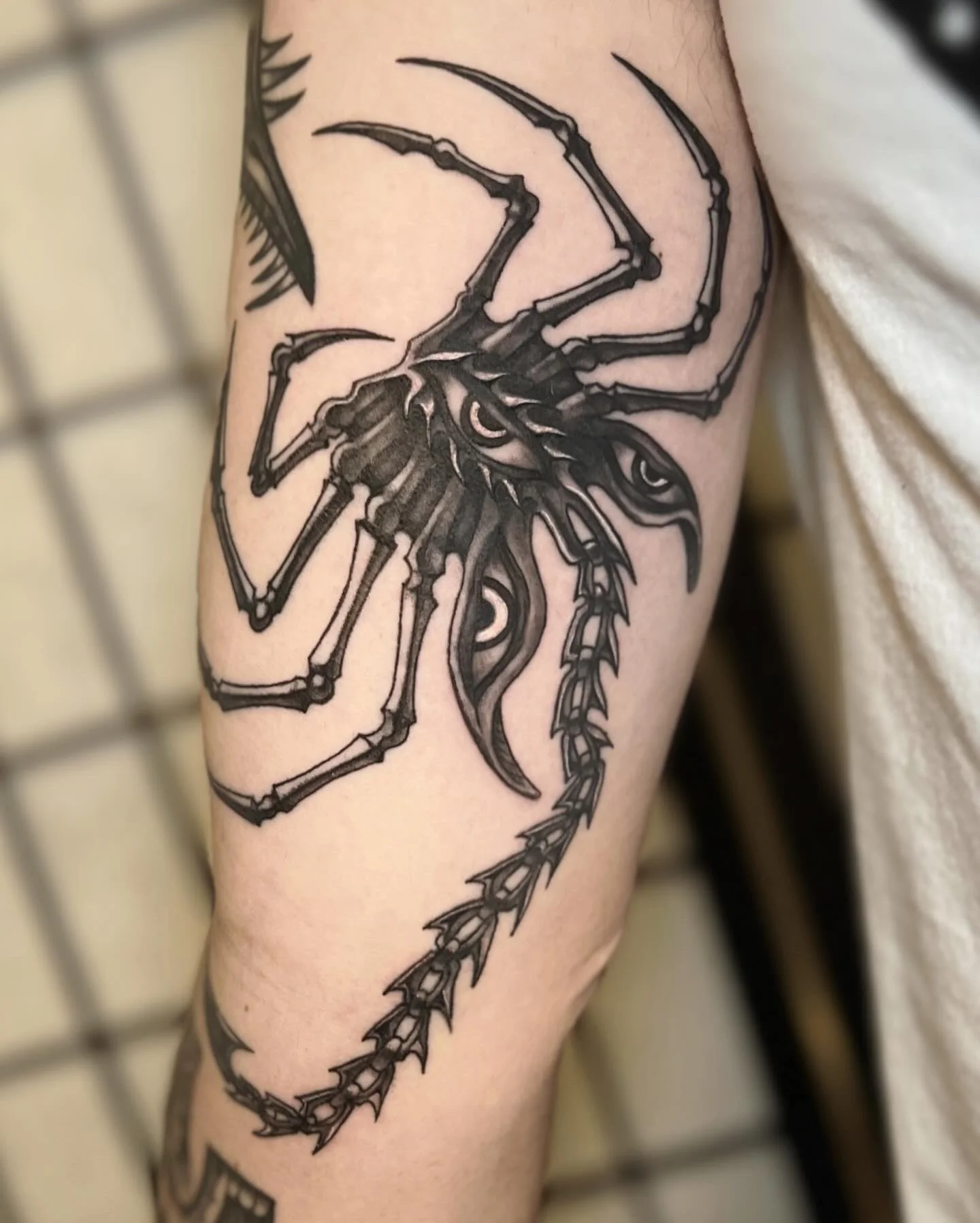 Stylized Face Hugger