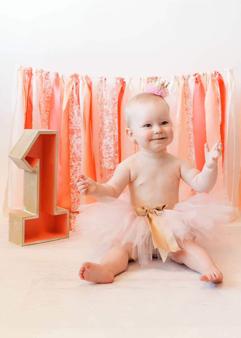 Edmonton Milestone Photographer_Lenna First Birthday 6.jpg