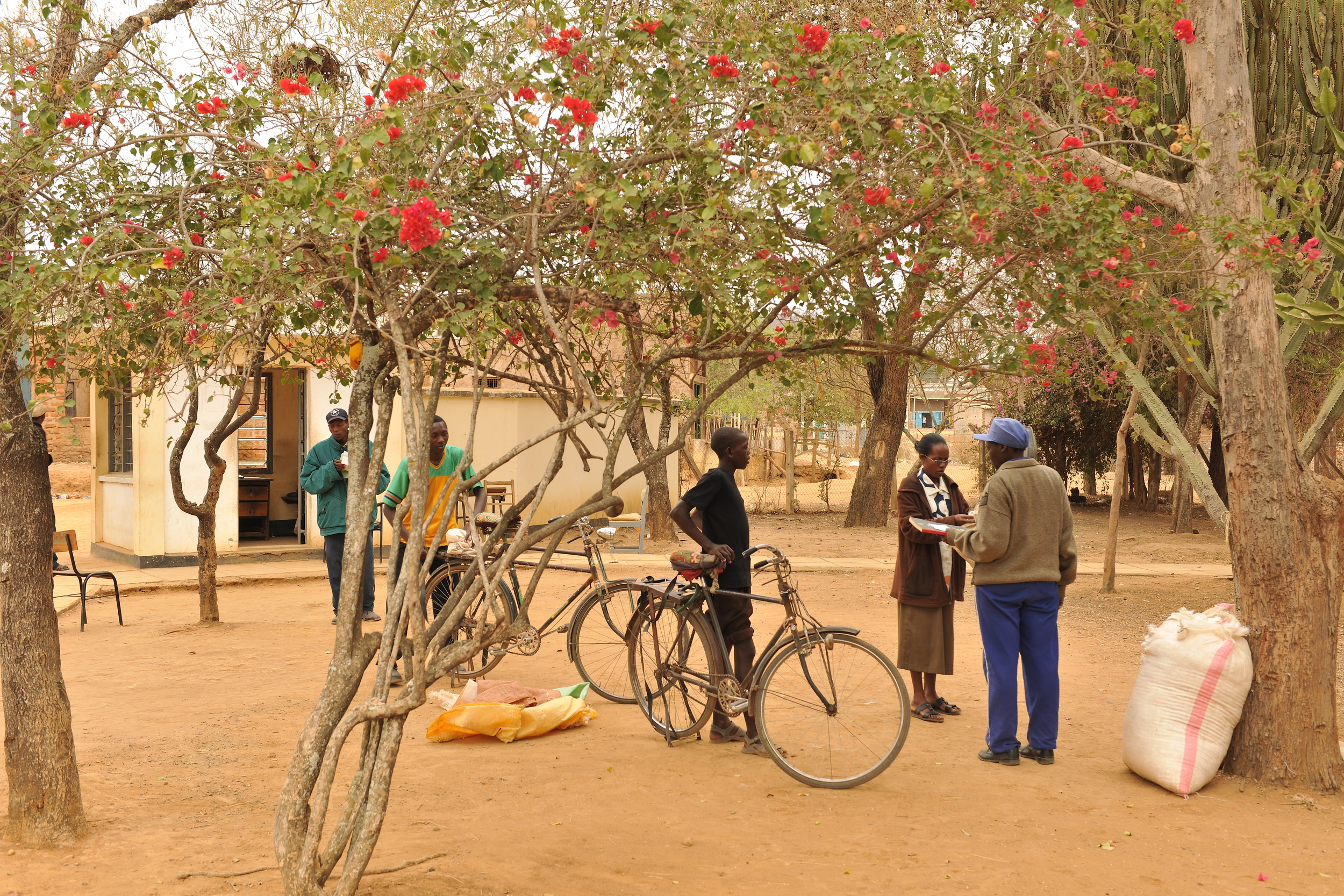 Makueni Ginnery. Photo by Lonnie Graham.