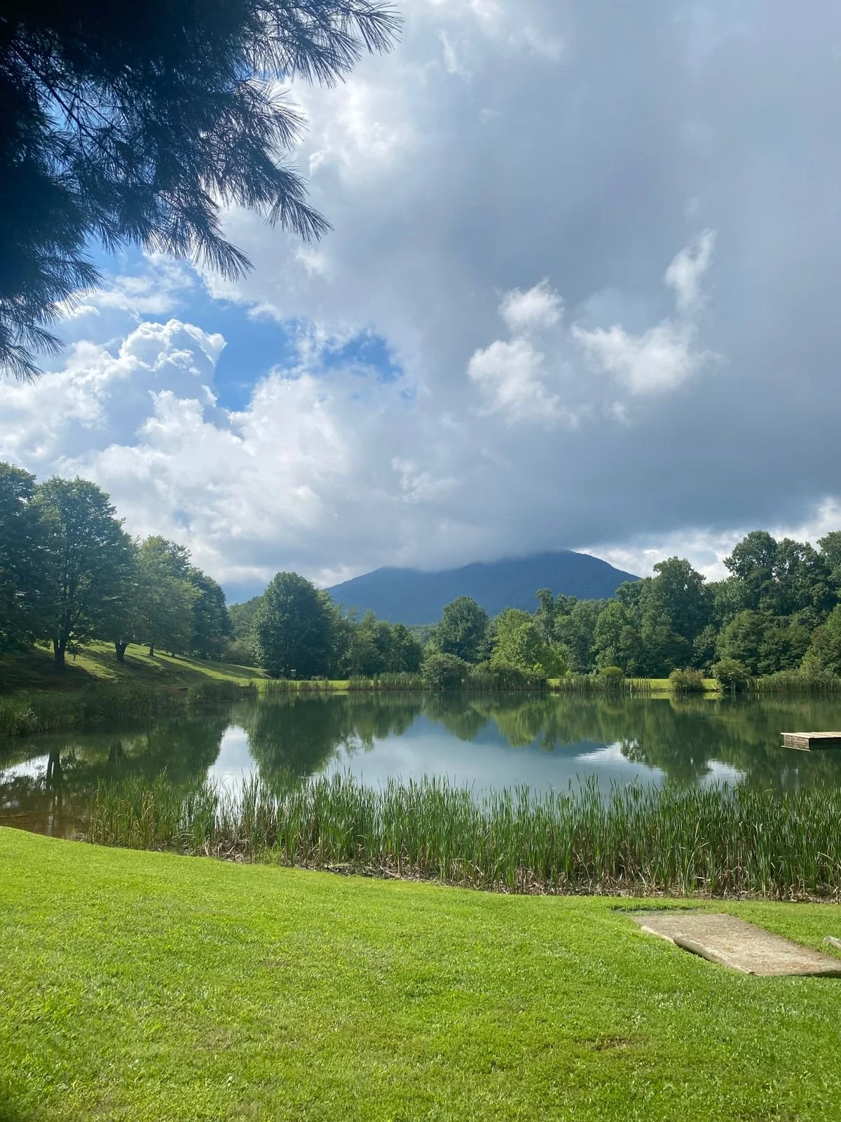 Scenic mountain lake with clouds reflected on the water and green grass along the shore.