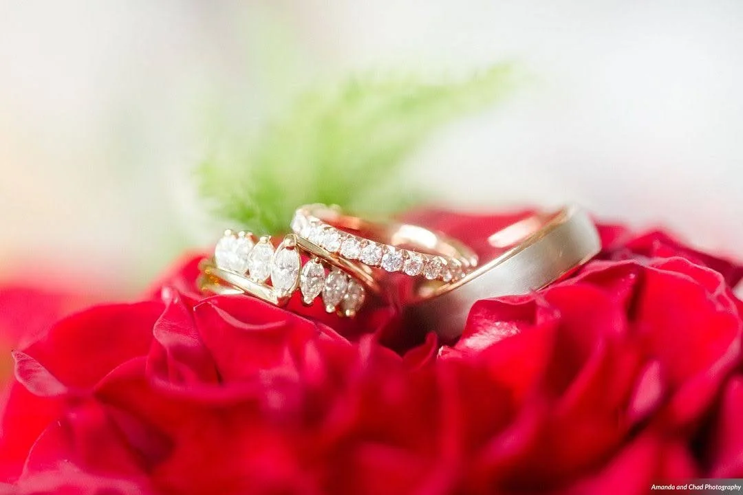 Closeup of wedding rings resting on red rose petals.