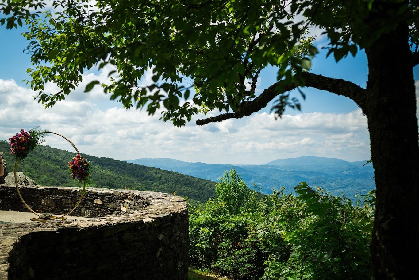 Scenic mountain overlook from a stone terrace with a large tree branch stretching across the sky