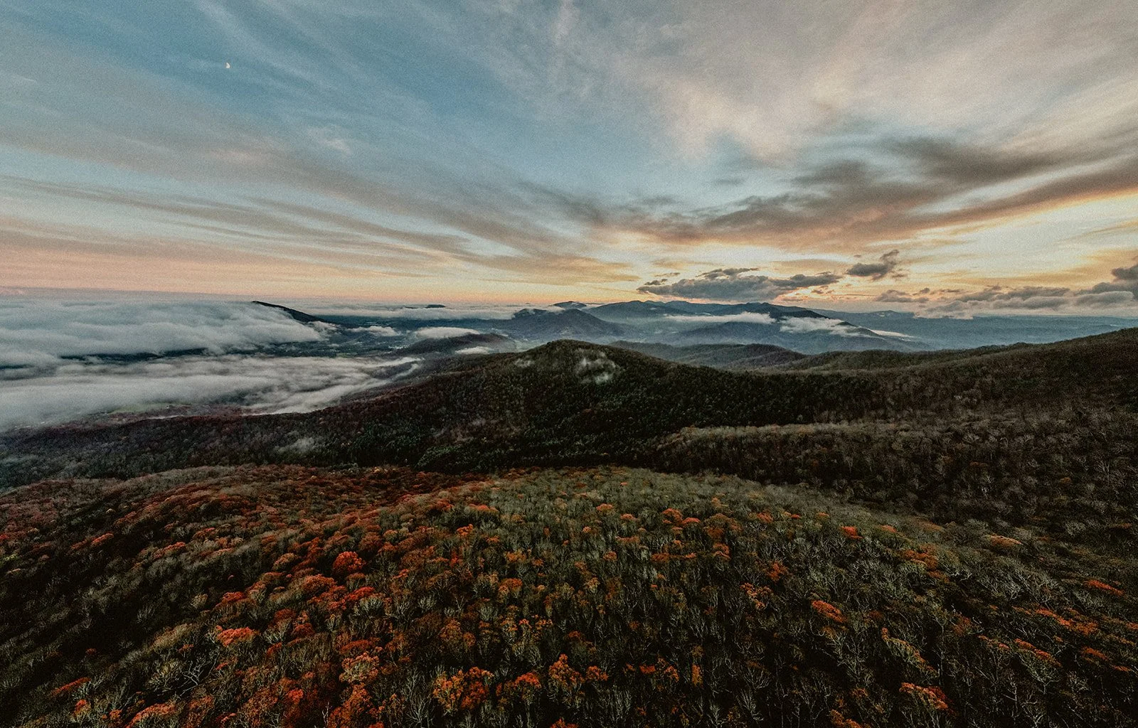 Panoramic sunrise view over the Blue Ridge Mountains with low clouds and fall foliage in the foreground
