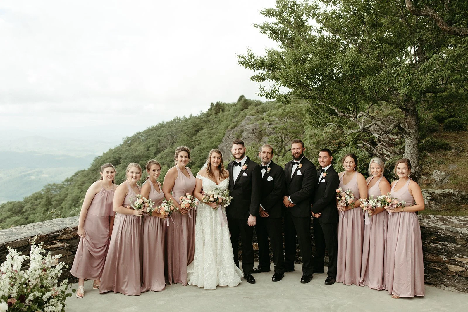 Full wedding party portrait at a mountain overlook with bridesmaids in blush dresses and groomsmen in black suits.