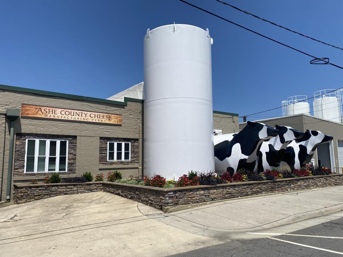 Ashe County Cheese factory building with a tall white silo and cow statues out front.