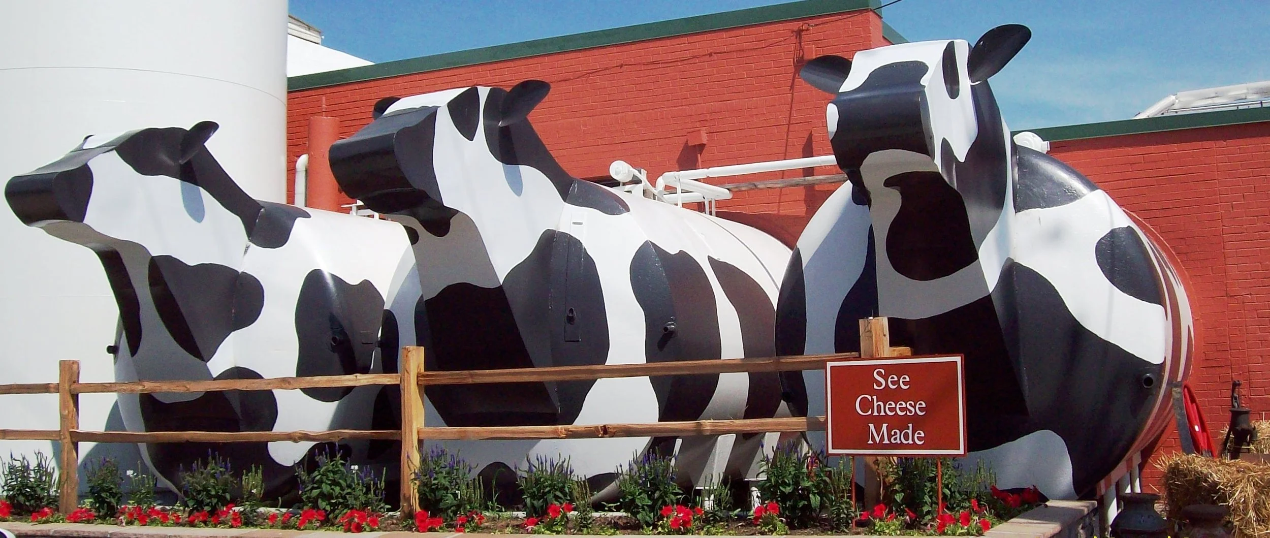 Large black-and-white cow statues behind a wooden fence, with a sign reading “See Cheese Made” in front.