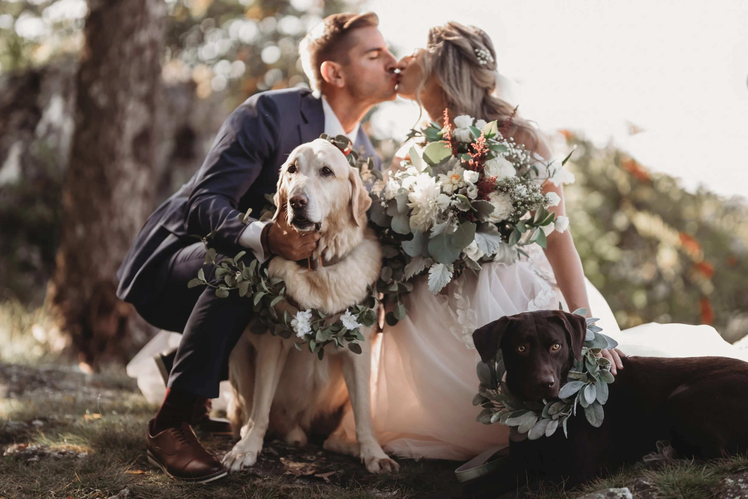 Bride and groom kissing outdoors in a woodland wedding portrait with two dogs wearing greenery collars and a lush bridal bouquet.