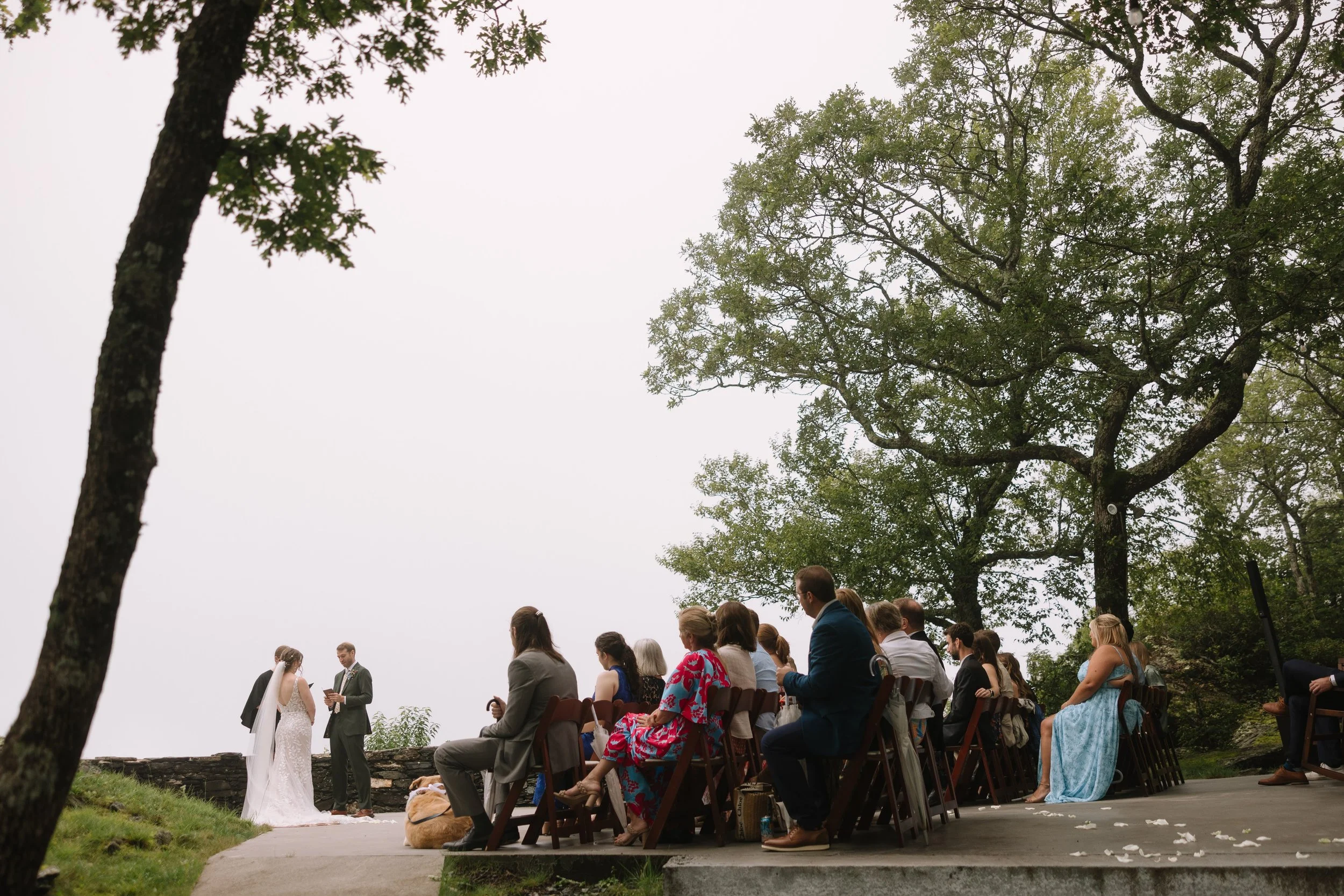 Outdoor mountain wedding ceremony with guests seated beneath trees overlooking a foggy landscape.