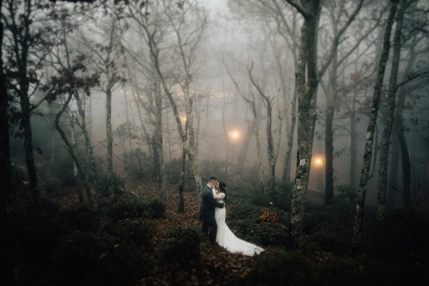 Wide shot of the couple embracing in a foggy forest with tall trees around them.