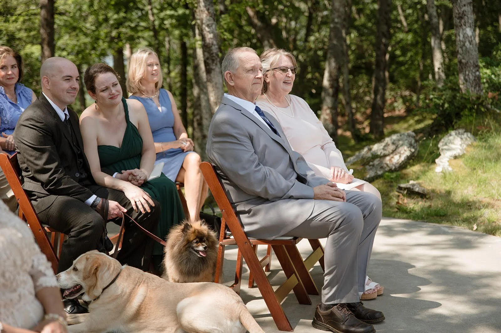 Wedding guests seated at an outdoor wooded ceremony with two dogs resting near the aisle.