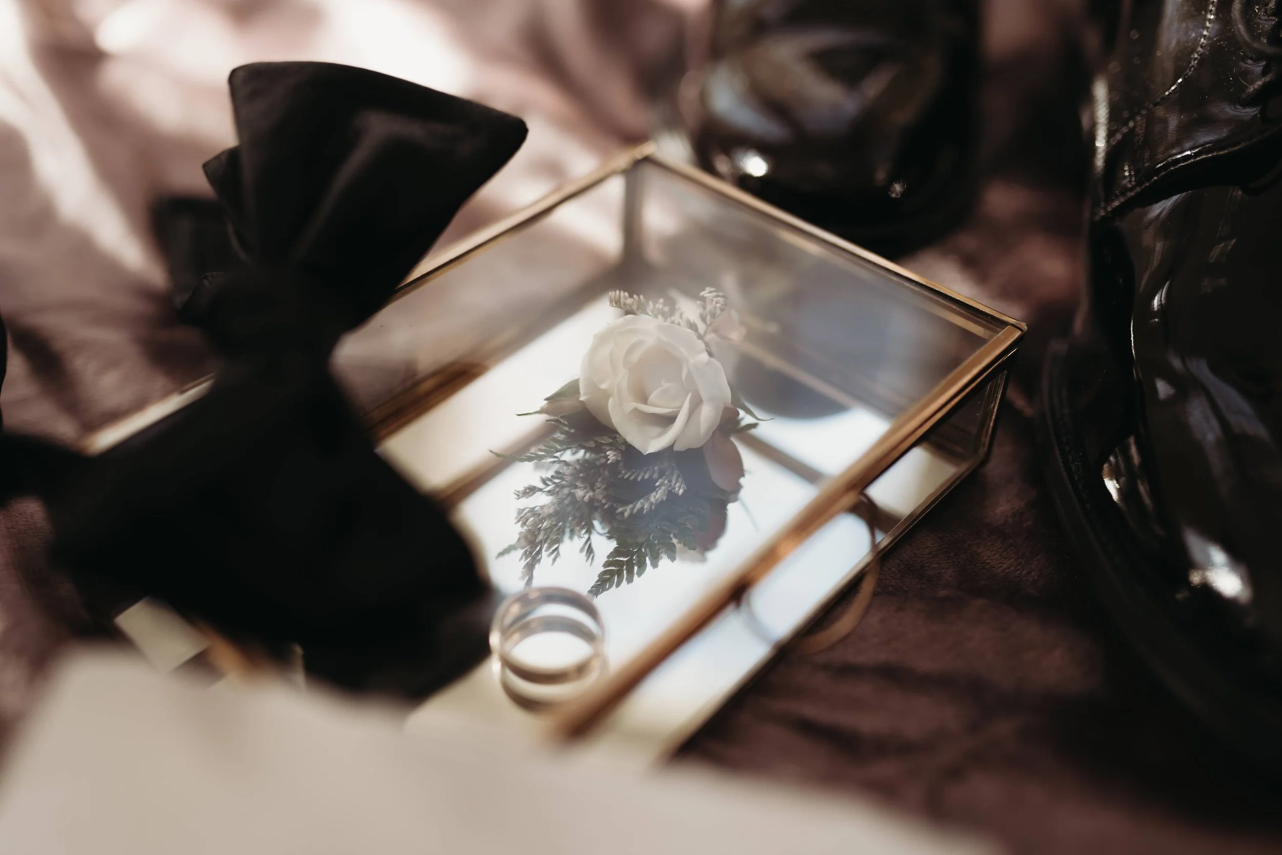Wedding rings in a glass box with a small white flower and greenery in a romantic detail shot.