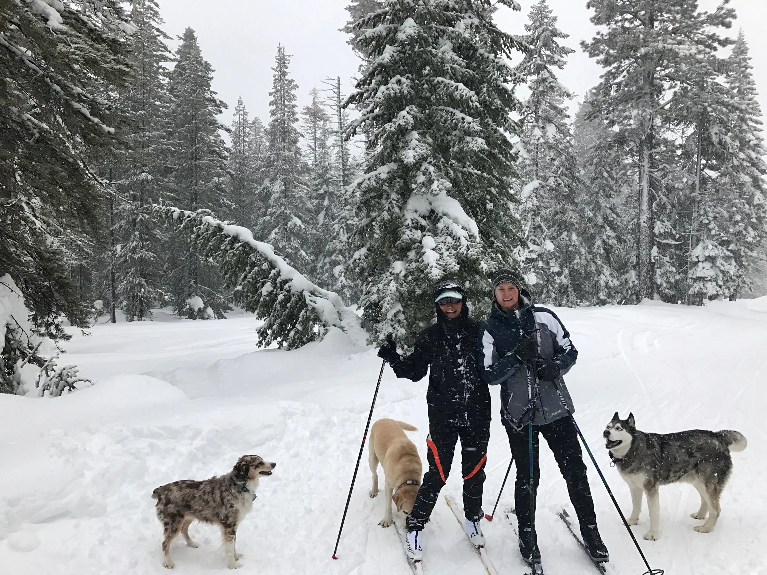Winter adventures