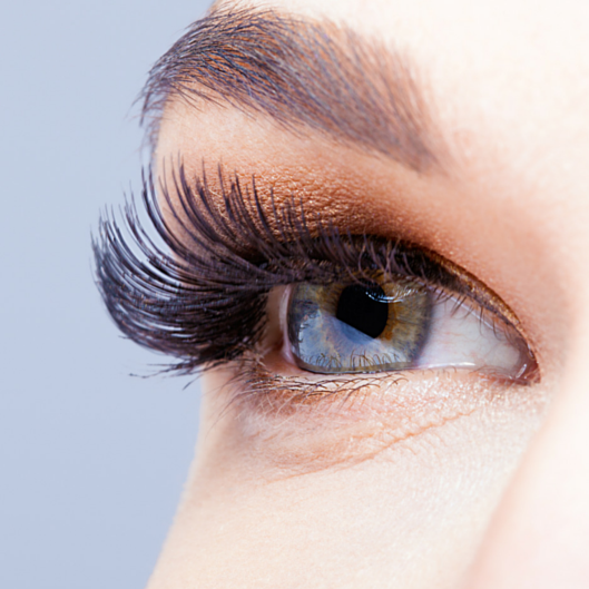 eyelashes.png