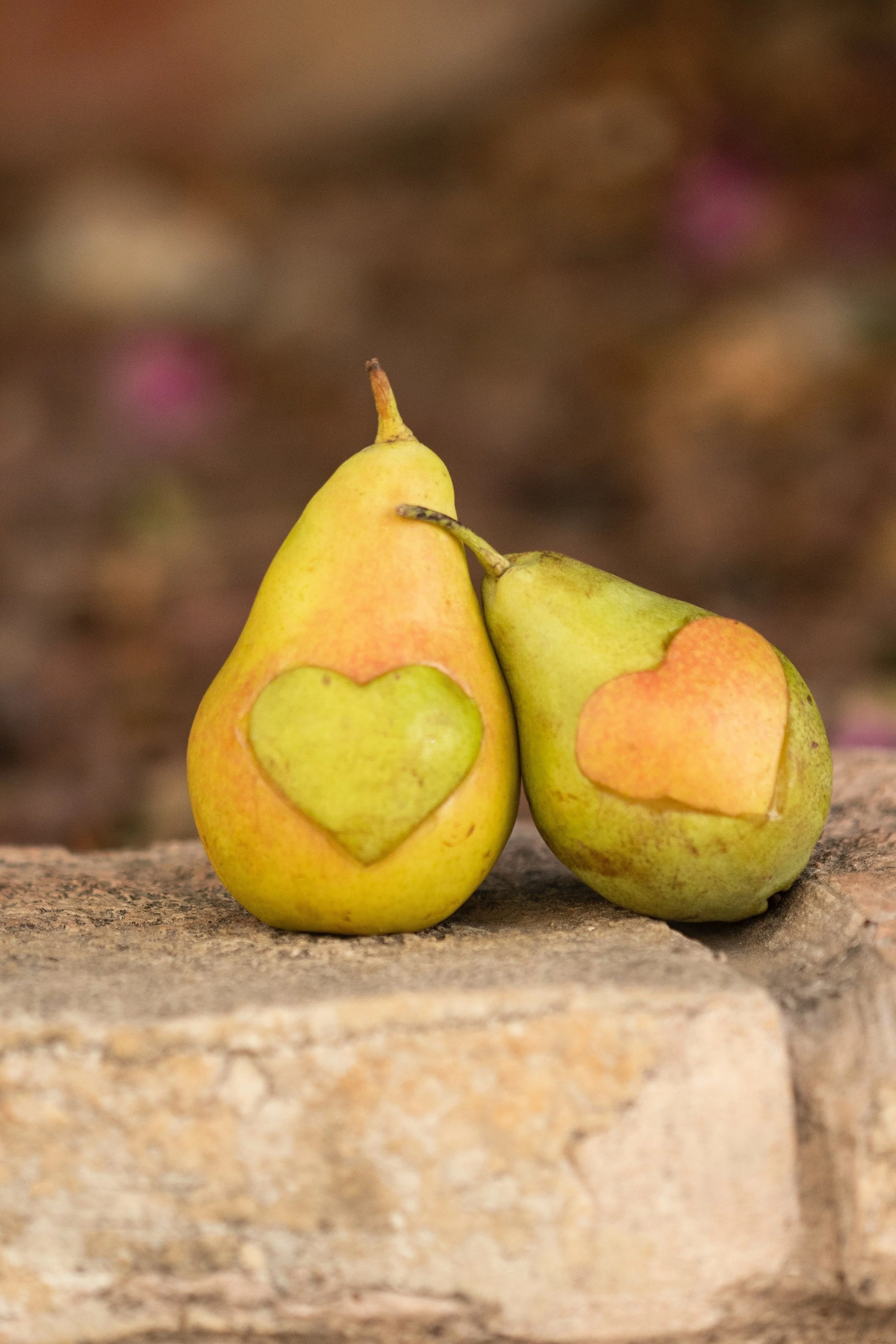 pear+pair+hearts.jpg