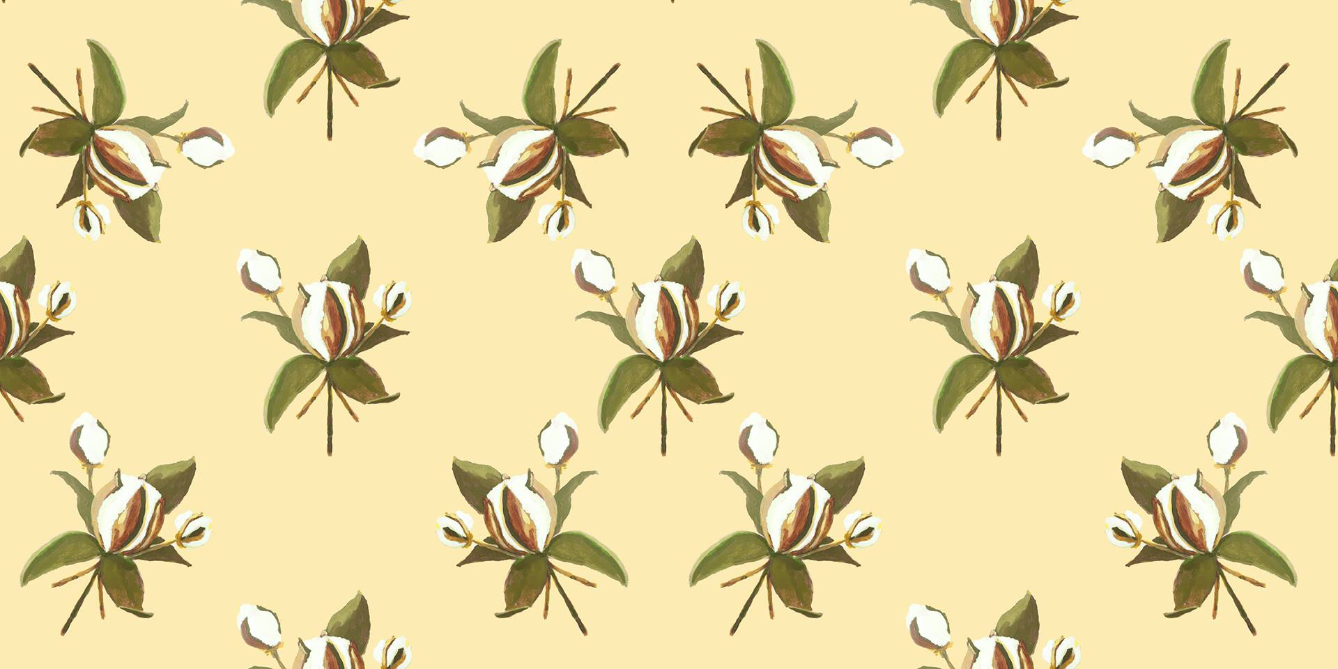 Cotton and Magnolia Leaves by Jon Key