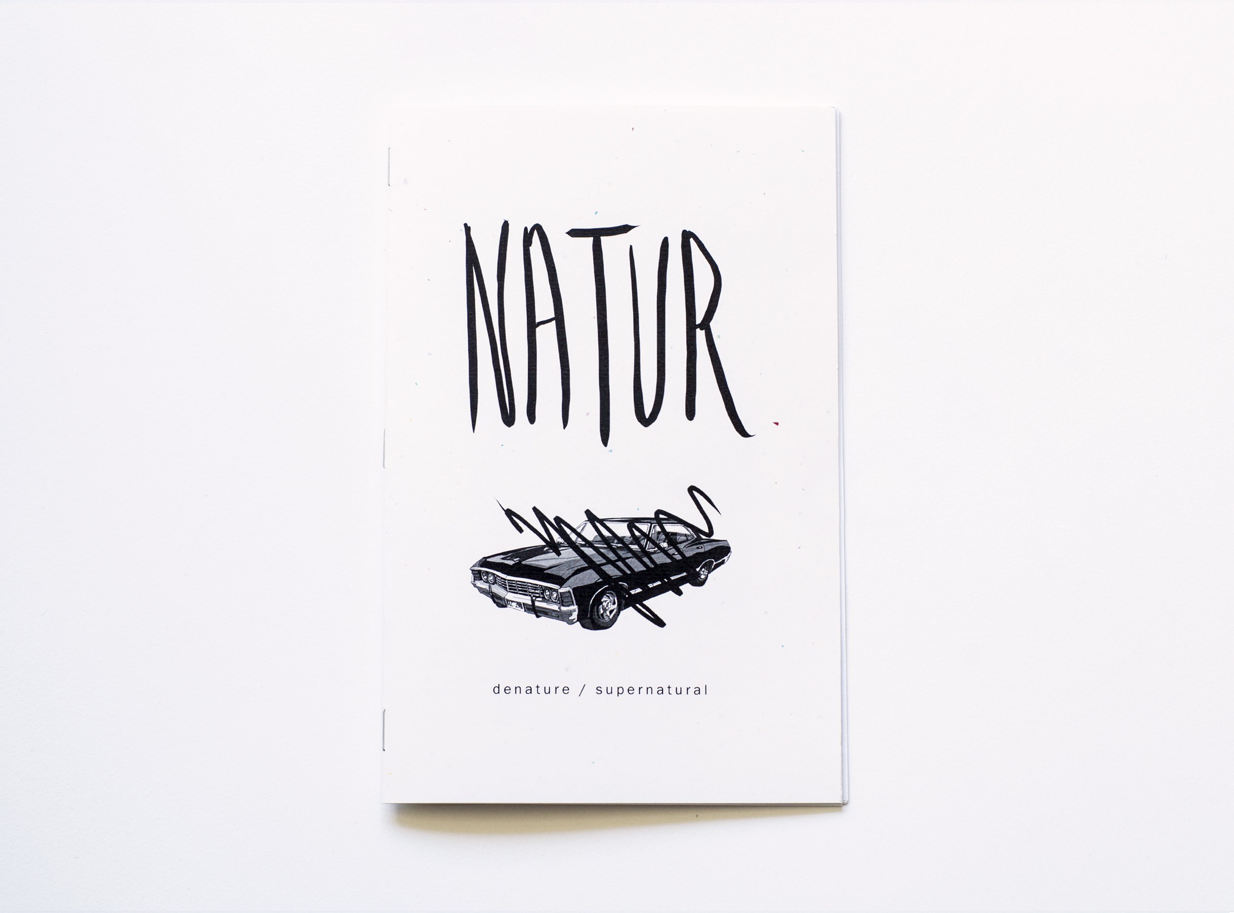 Natur_020617_1.jpg