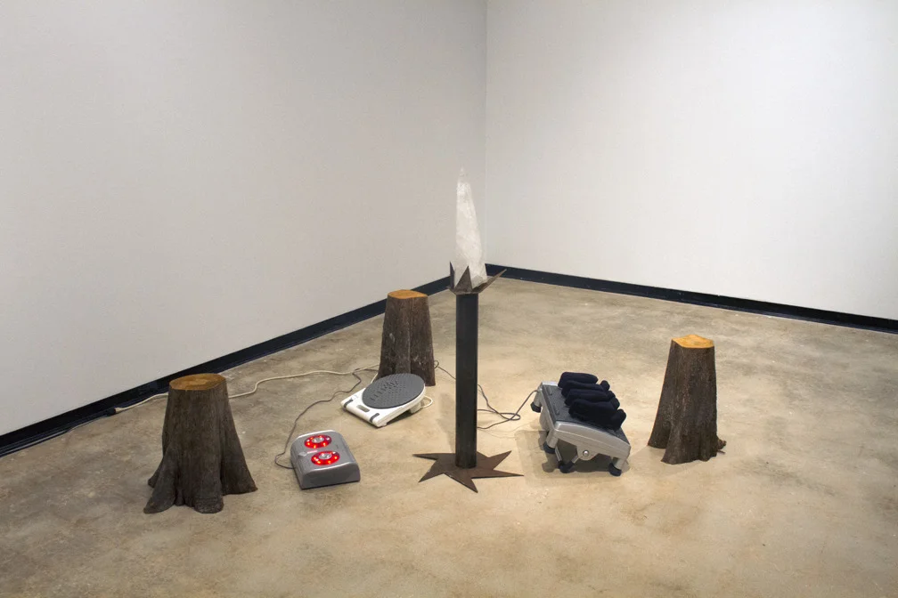  Orlando Estrada,&nbsp; Varied Pleasures , 2014 