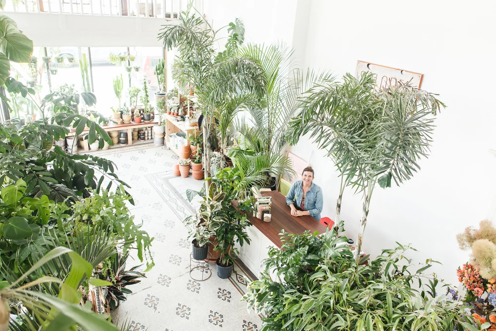 Solabee Flowers in heaven on earth for plant lovers. Photo by Urban Nest Realty.