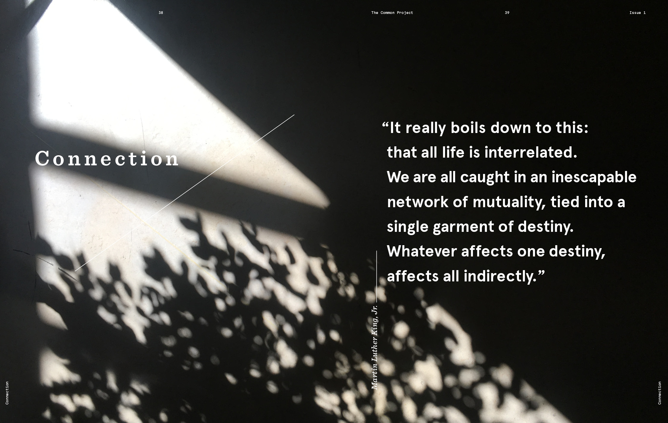 The Common Project3.jpg