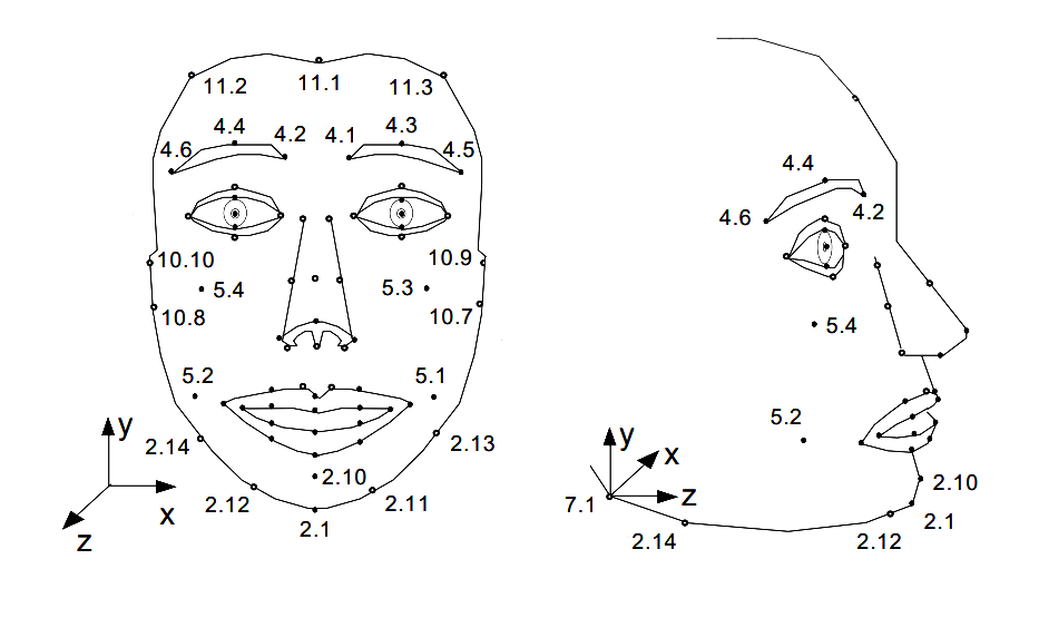 Real-time avatar facial animation - Visage Technologies