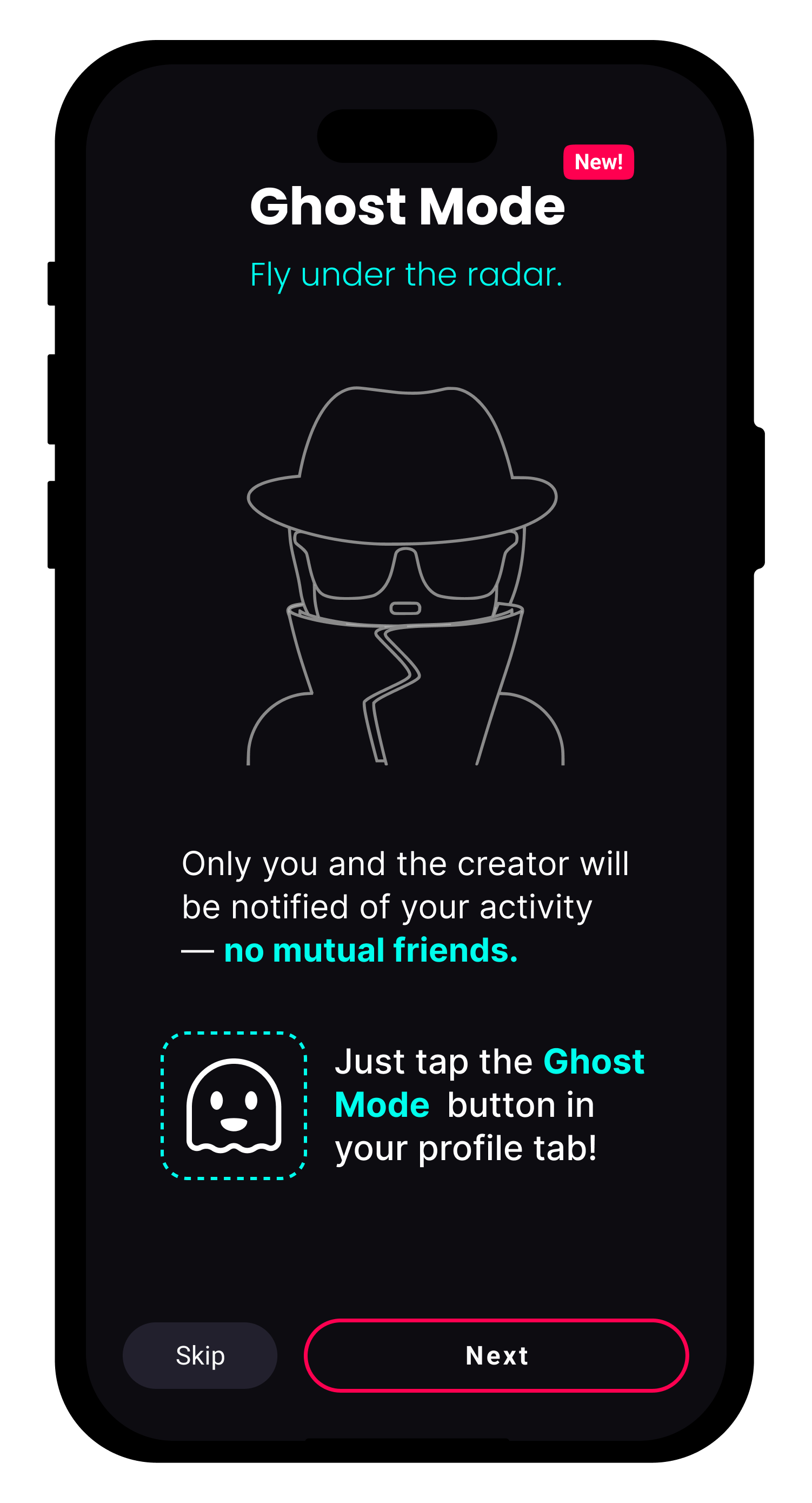 onboarding_website_ghost.png
