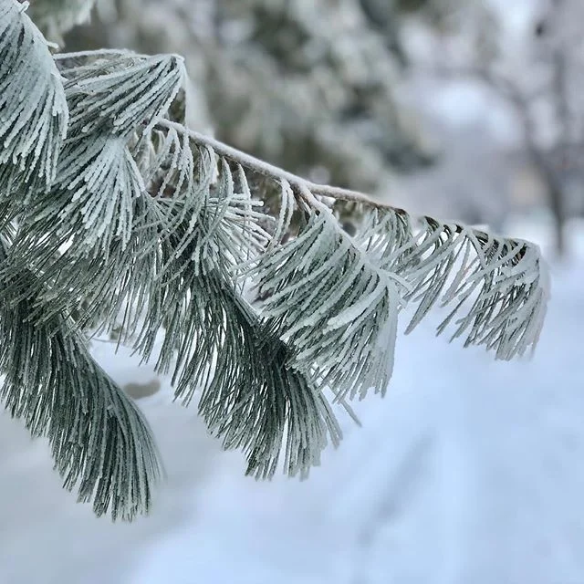 Je ne suis pas le plus grand fan de l&rsquo;hiver mais j&rsquo;essaie quand m&ecirc;me de profiter de la beaut&eacute; qui s&rsquo;offre &agrave; nous seulement pendant la saison froide.