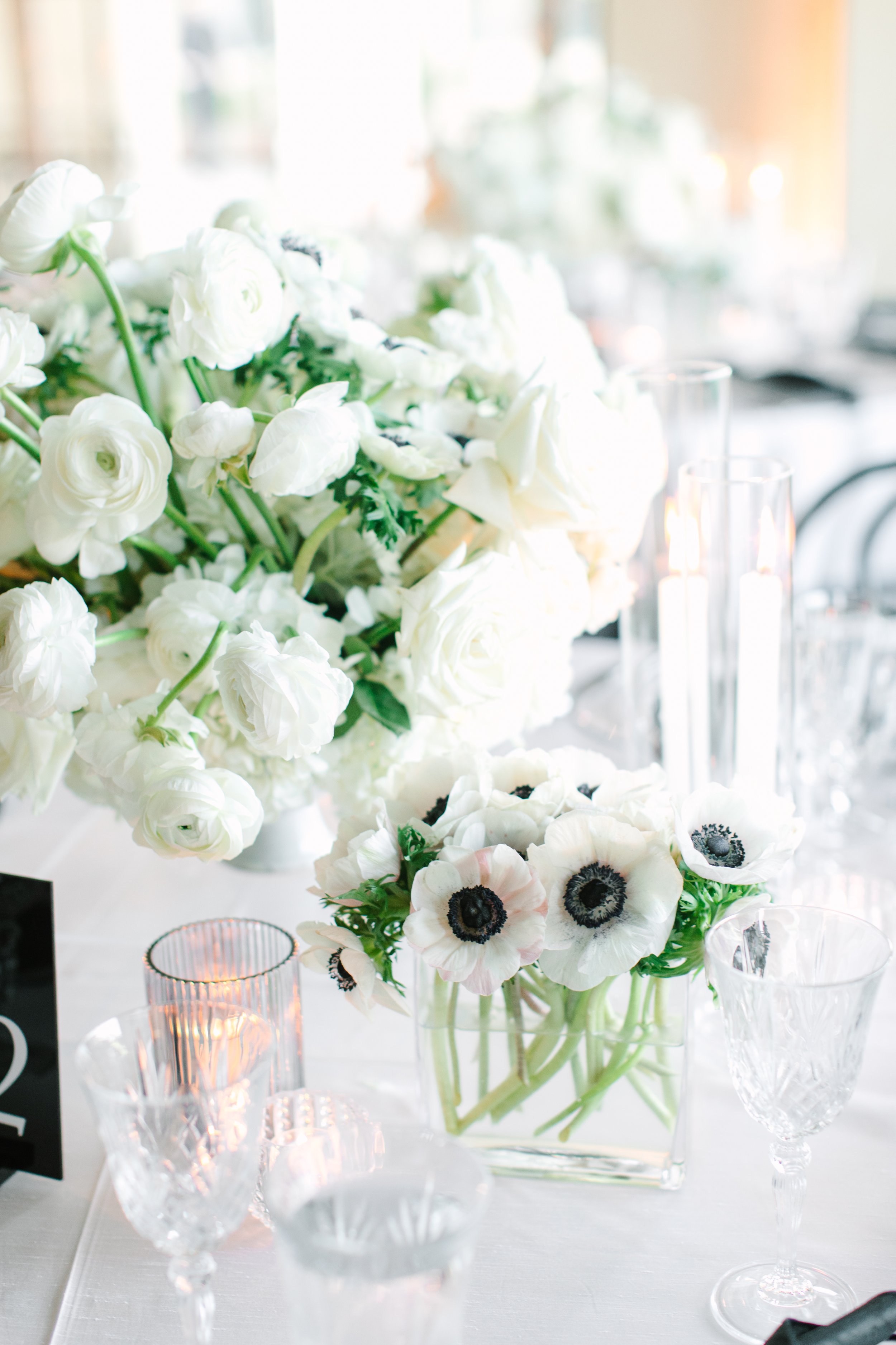 Reception-73.jpg
